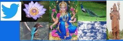 mcpawar's profile banner image