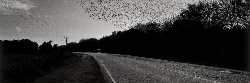 No Country Magazine banner