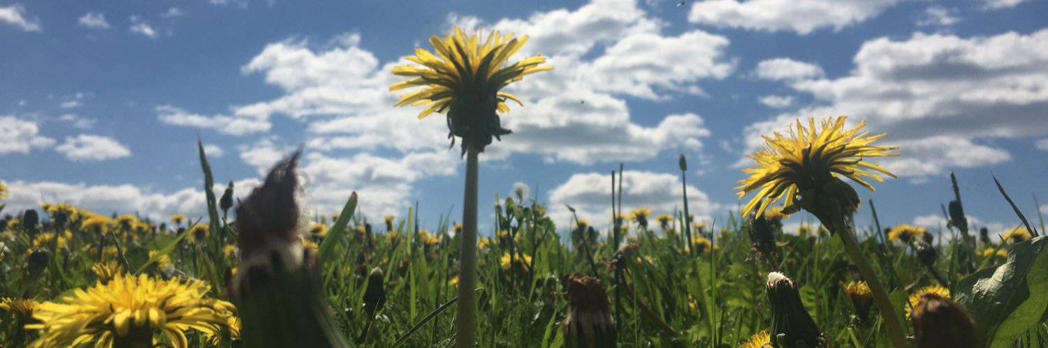 fvnryde's profile banner image