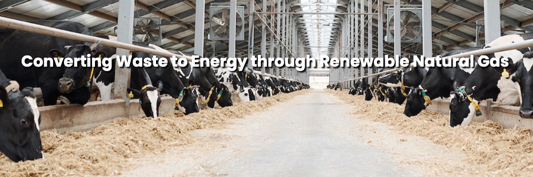 Avolta Development banner