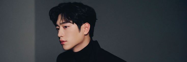 Lynne Ashvale banner