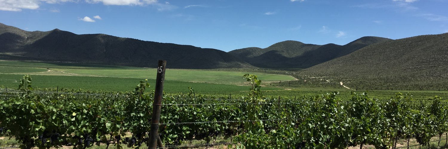 HugoRicardoFl's profile banner image