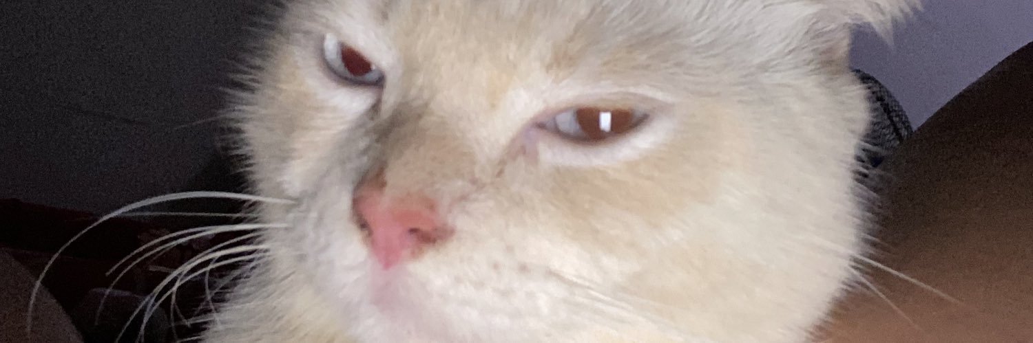 SassyDivine01's profile banner image