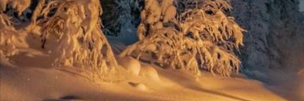 81_knox Profile Banner