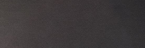 bird banner