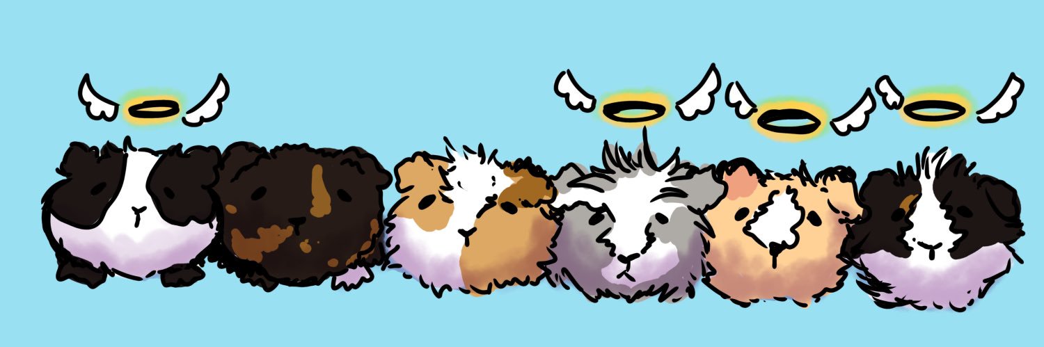Lapinshegery's profile banner image