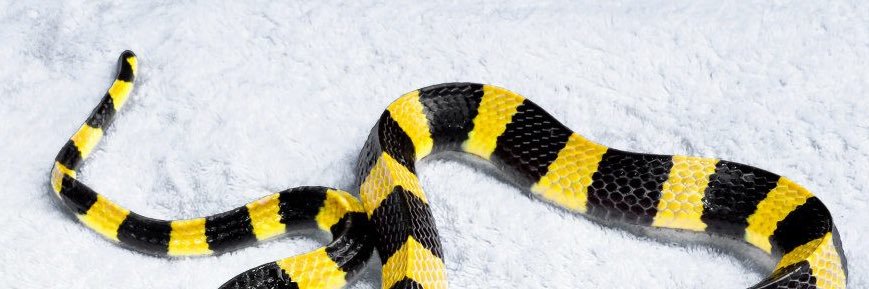 agisbyrjun's profile banner image