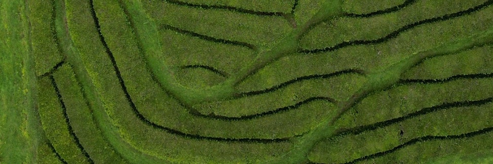 Xfluencer banner