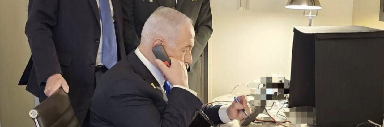 Dana Weinstein banner