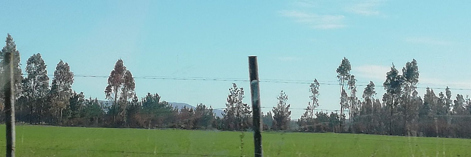 thesacha45's profile banner image