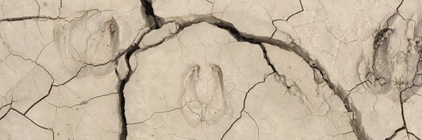 diamon_does Profile Banner