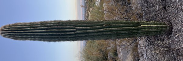 brianmarsan_ Profile Banner