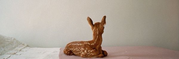 rvgsdelight Profile Banner