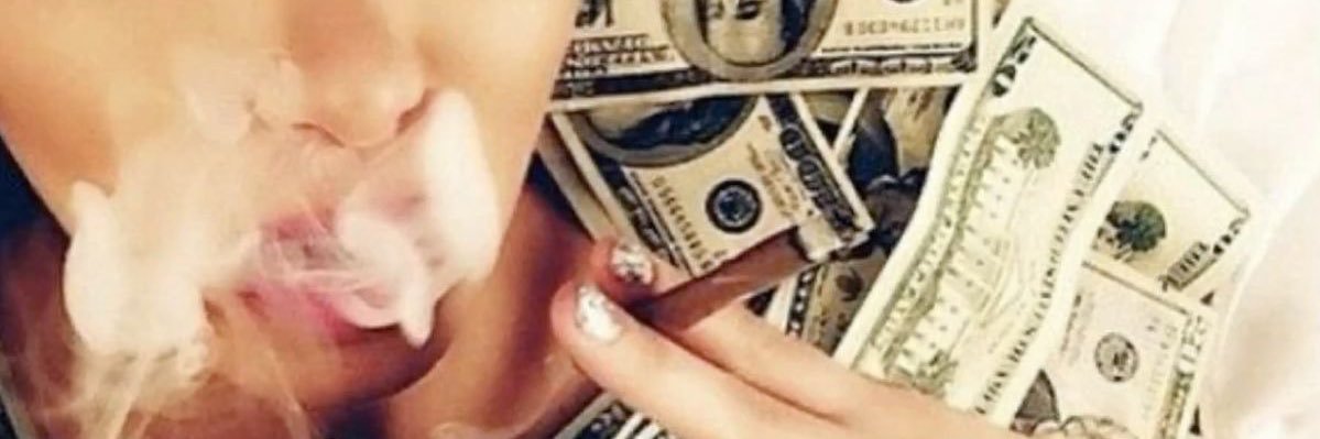 sophiafalcus's profile banner image