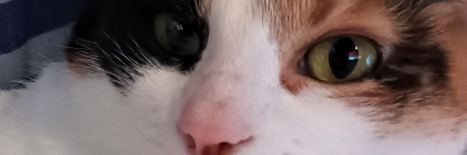 faoscke's profile banner image
