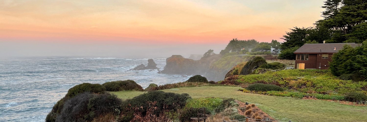 Michael Schade banner