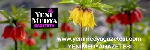 NKongur's profile banner image