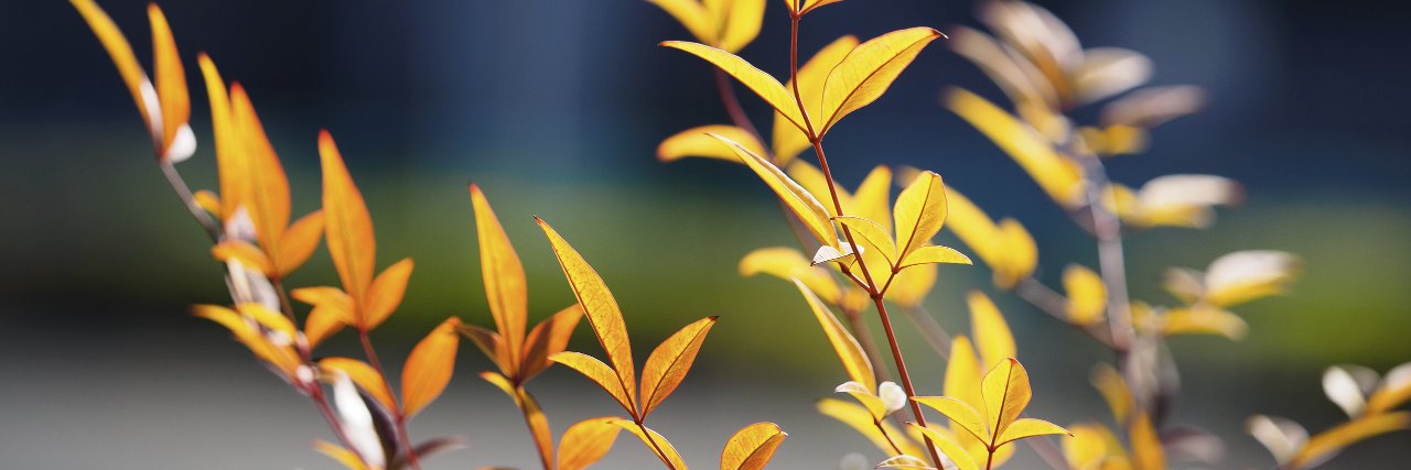 Tsubasa_7's profile banner image