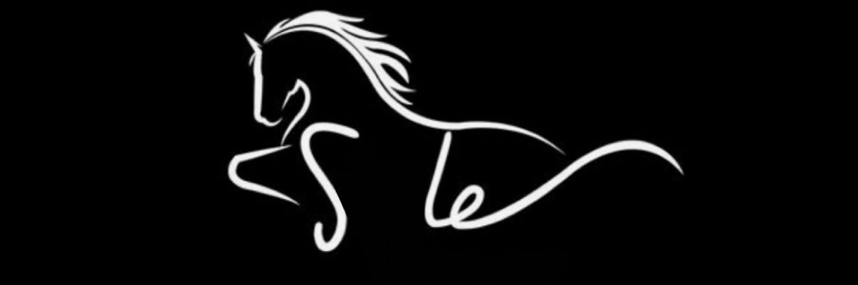 41zri's profile banner image