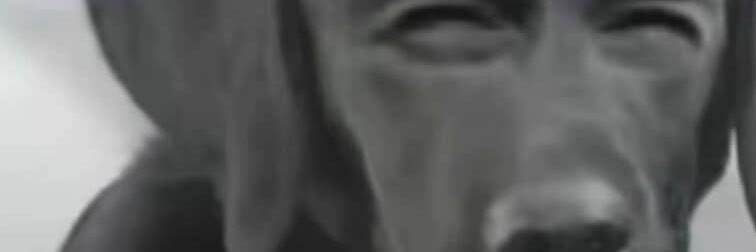 MotivatedMiner banner