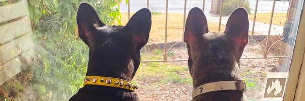 oc_rage Profile Banner