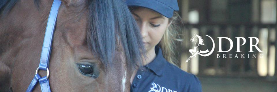 DPR Horsemanship banner