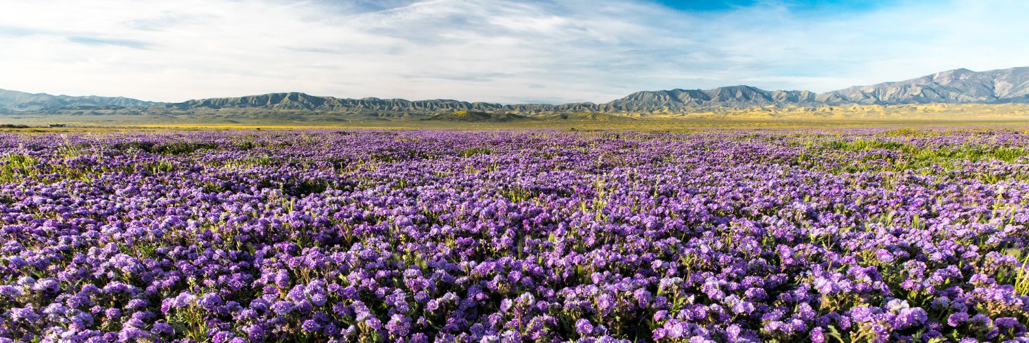 Bureau of Land Management - National's banner