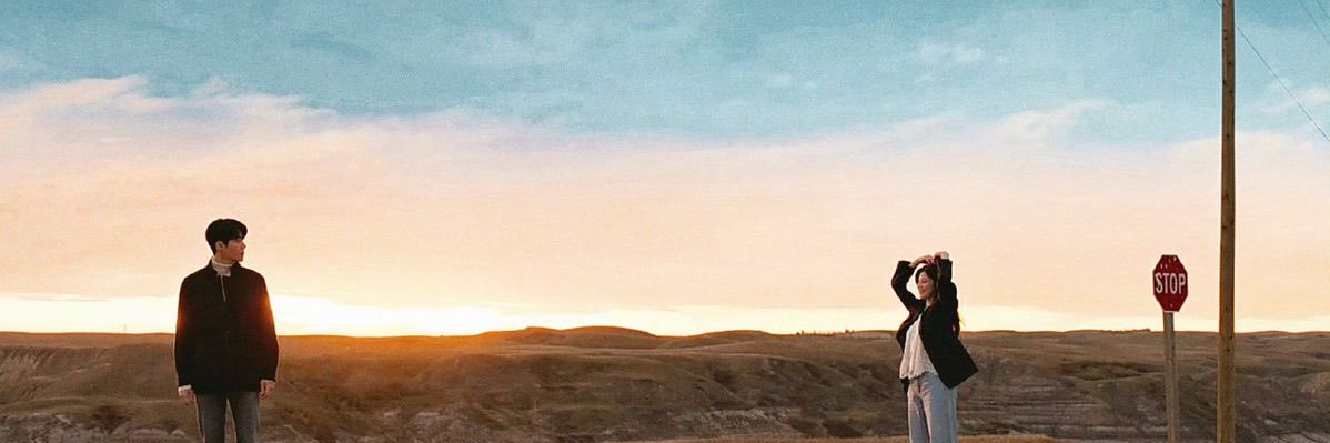 🕊️ banner