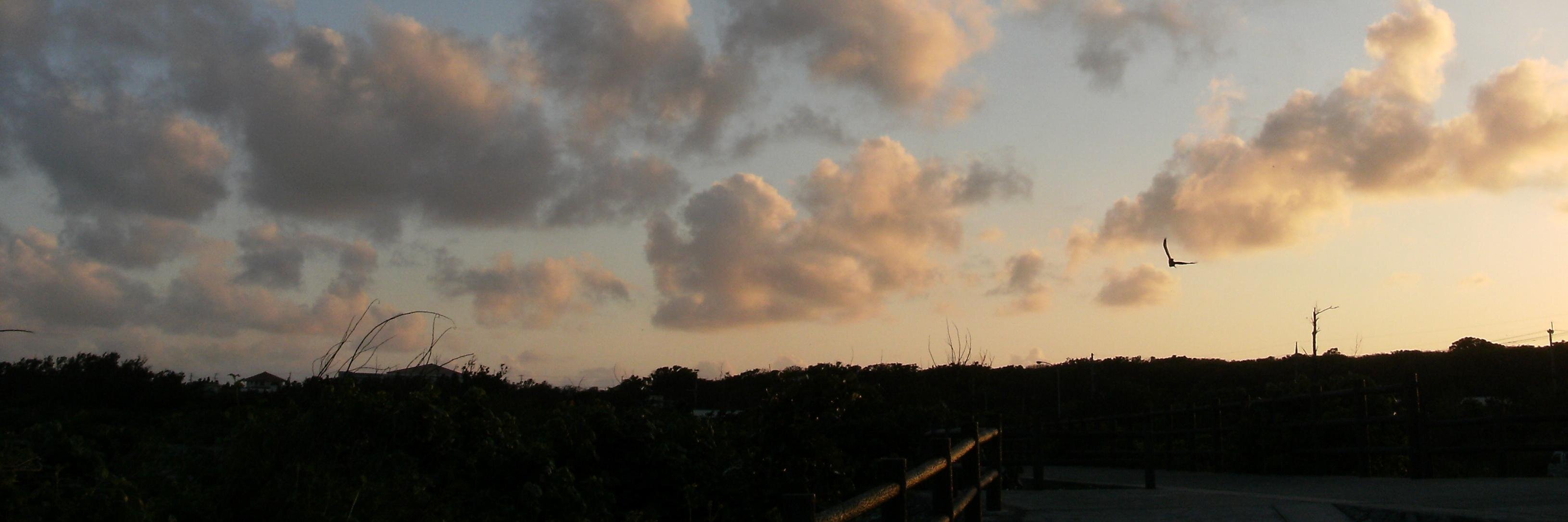 con_buri_dan's profile banner image