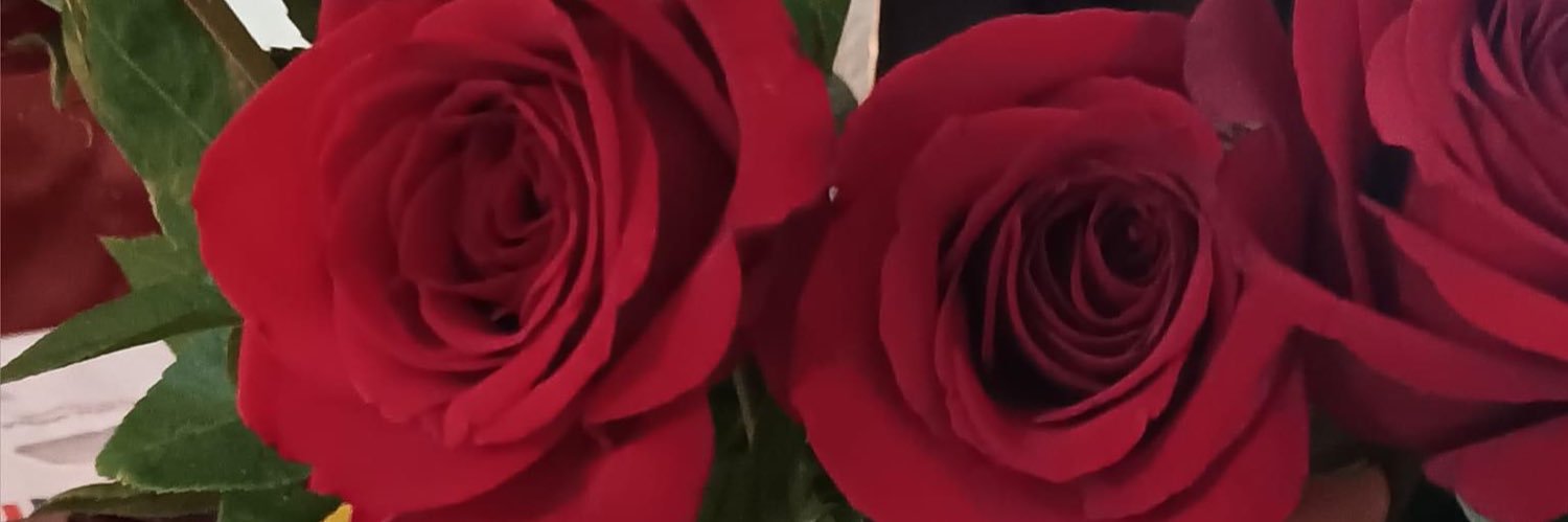 Anonymous202166's profile banner image