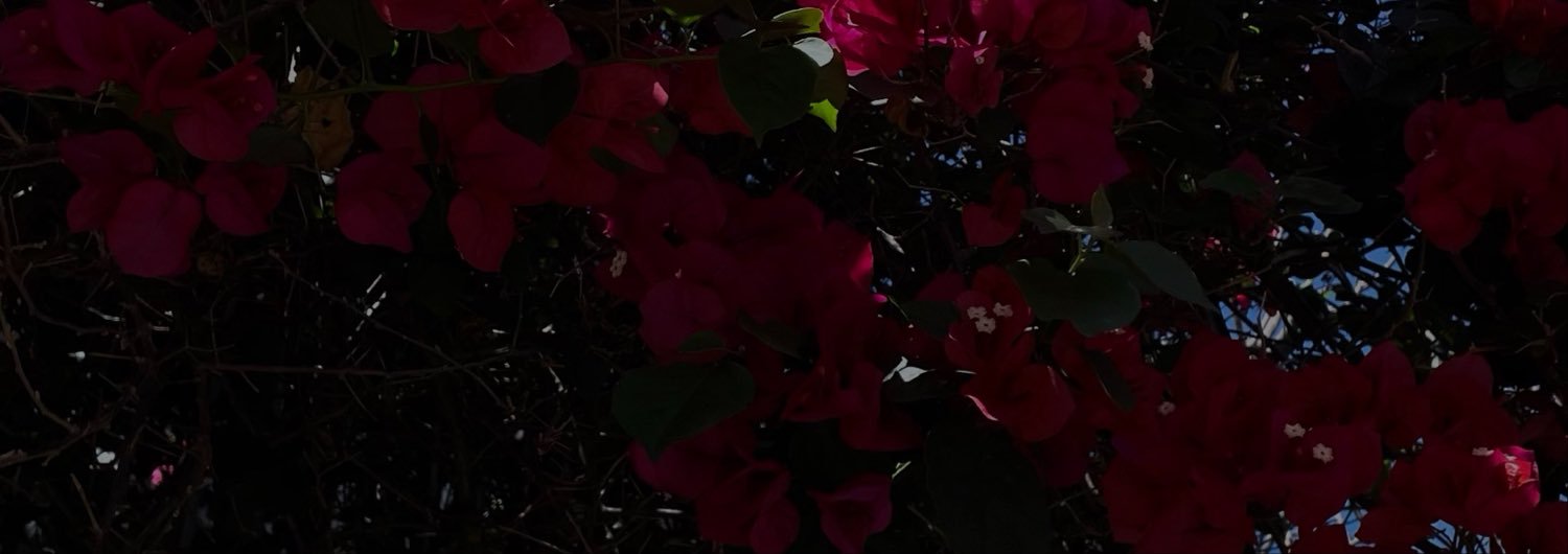 44dsm's profile banner image