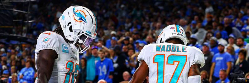 DolphinsCraze banner