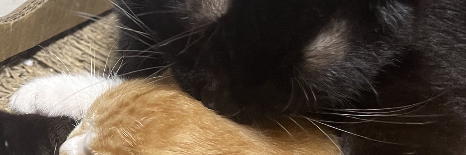 芳村 宗治郎 banner