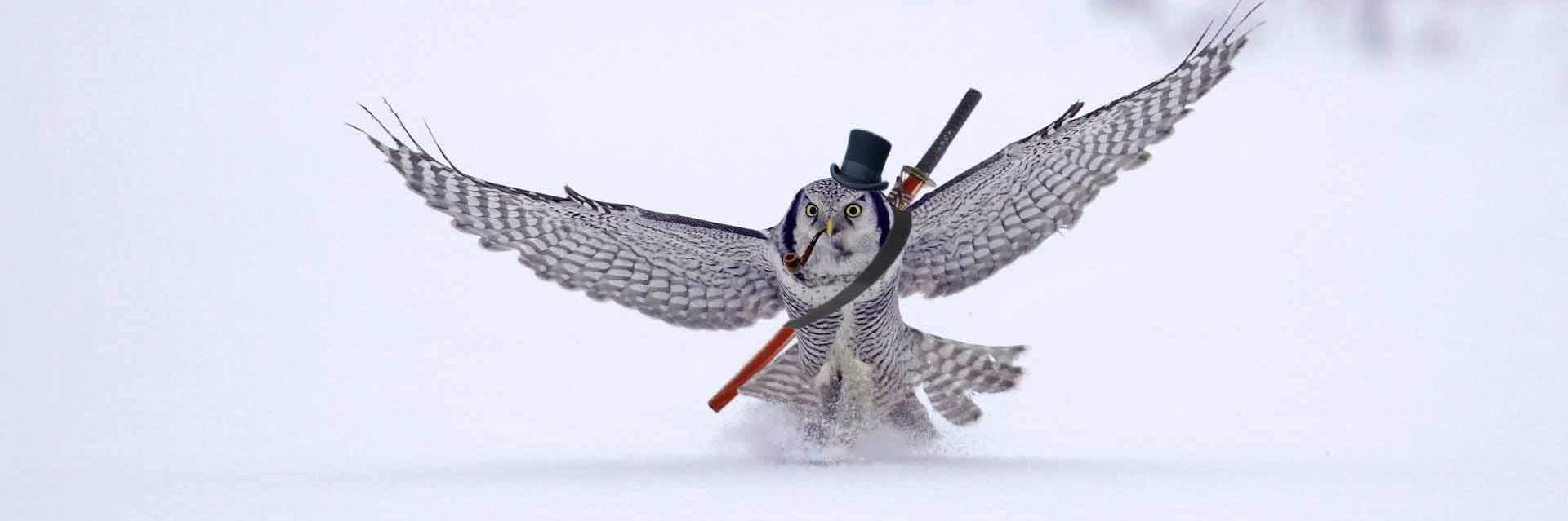 Çağlar Alaca banner