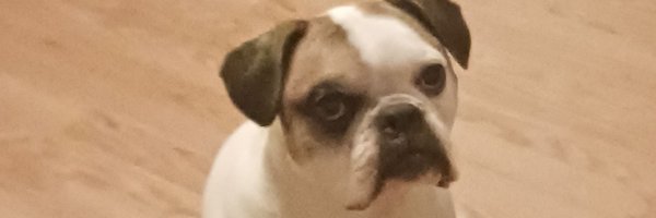 JTrain1998 Profile Banner