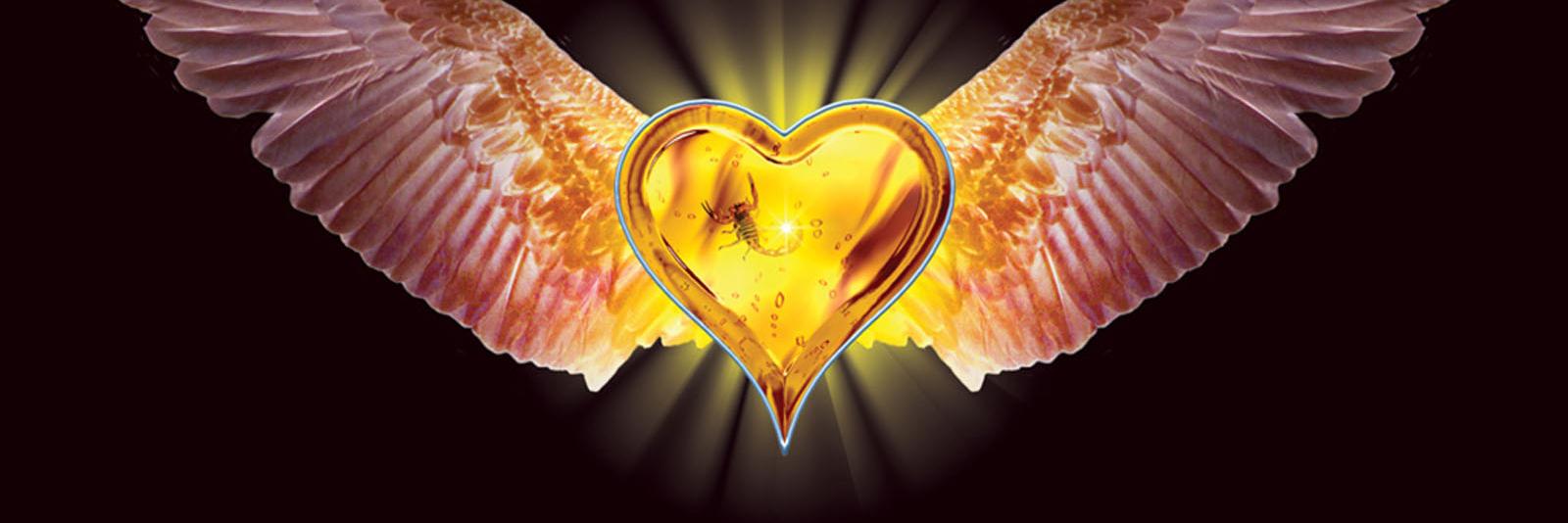paoIababe's profile banner image