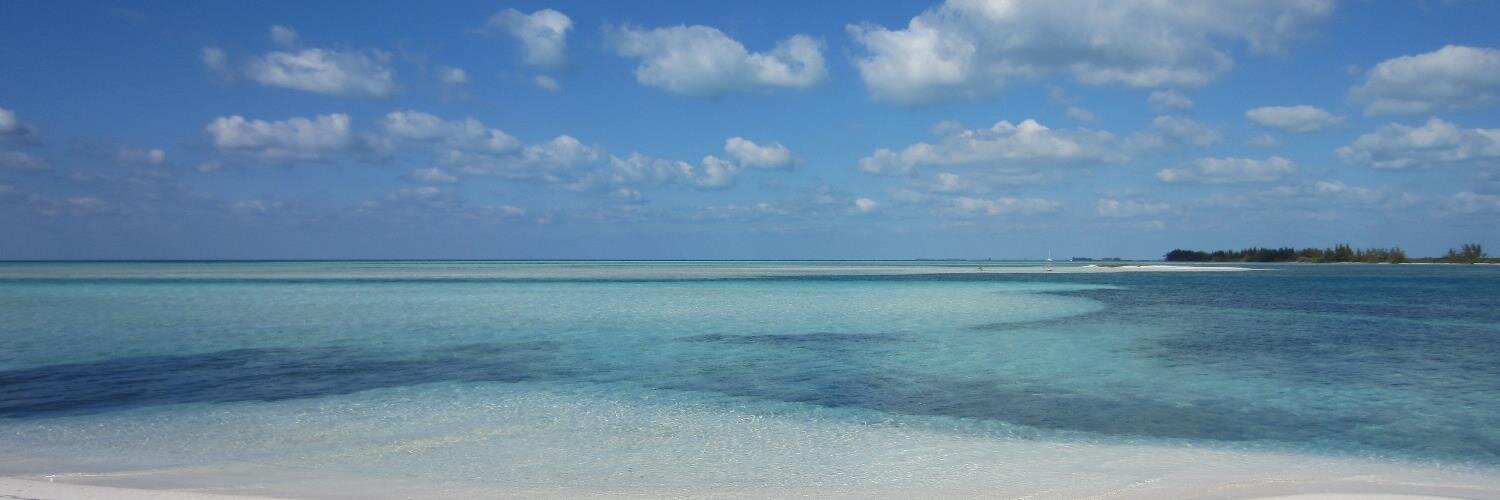 Giuliana Conti banner