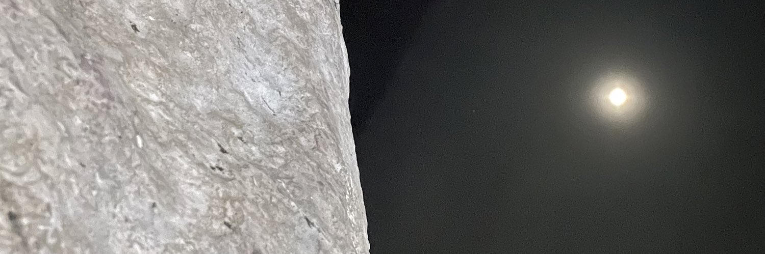 Lucia banner