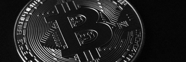 NikolayZcrypto Profile Banner