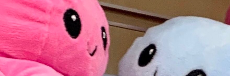 anan banner