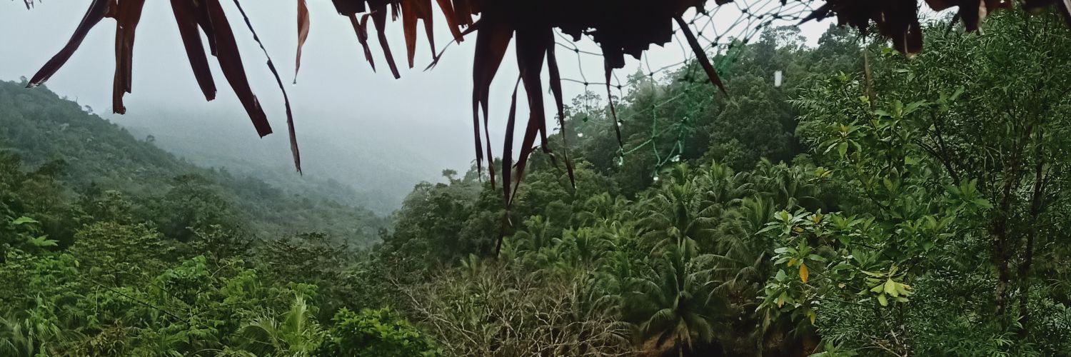 GayleFRPh's profile banner image