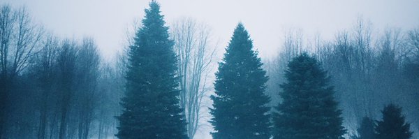 lexiloooadams Profile Banner