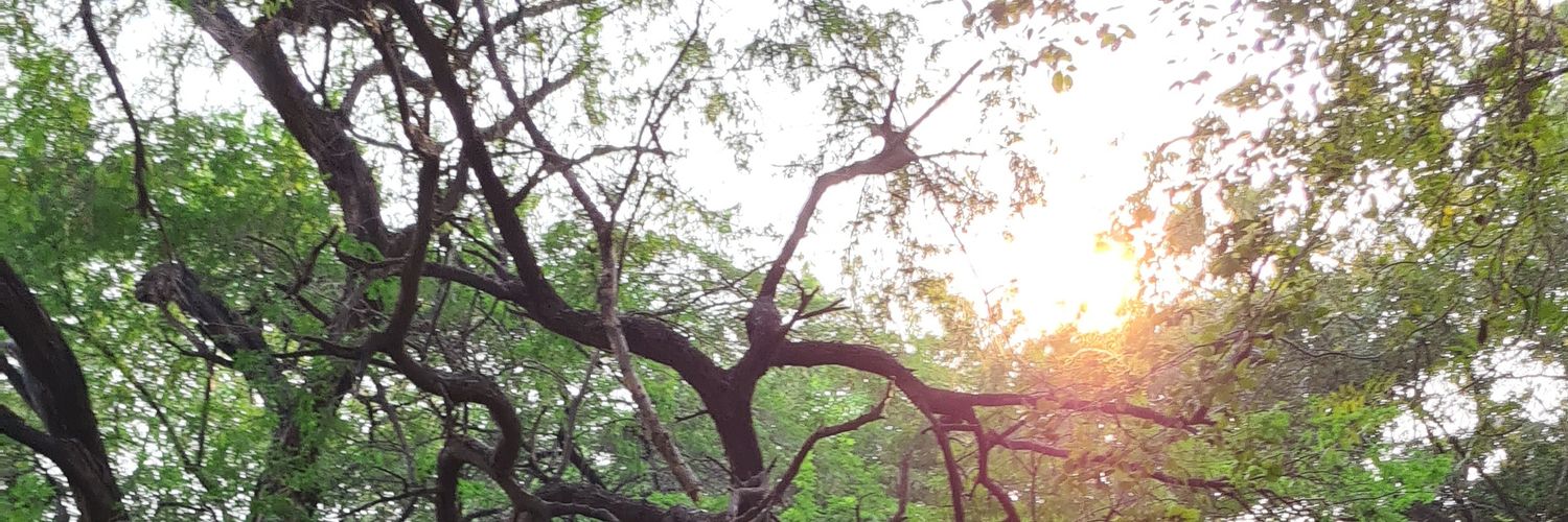 iamnitinkumar19's profile banner image