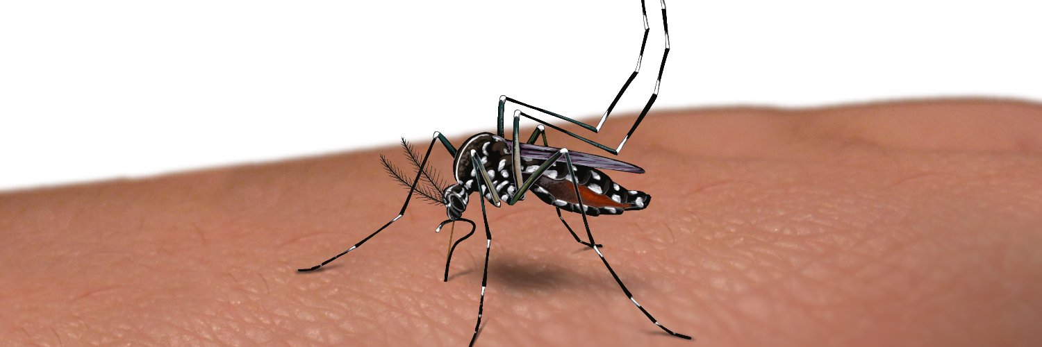 programatigre banner