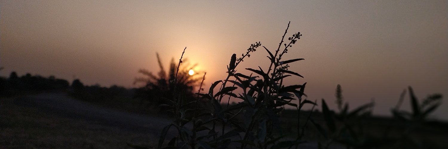 TheProjuktiBuzz's profile banner image