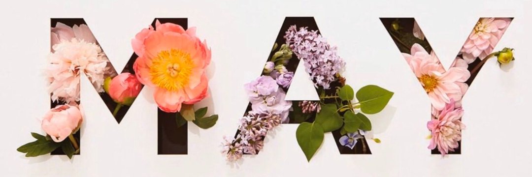 TonnieReagan's profile banner image