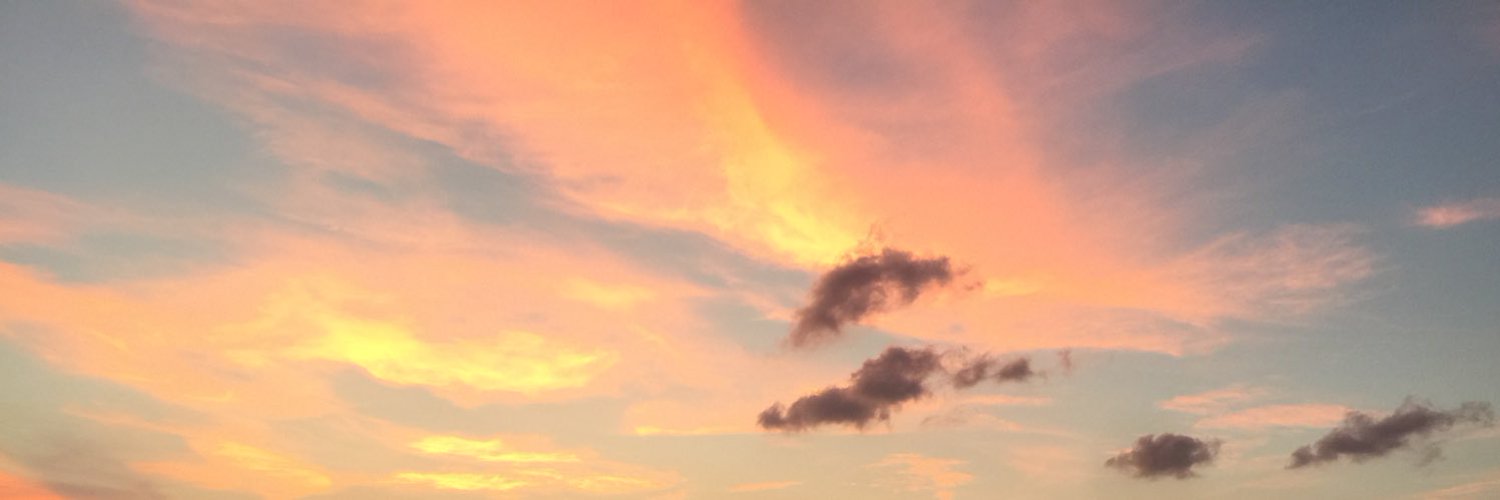 little__twoos's profile banner image