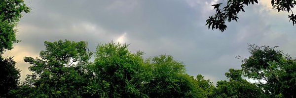 S_N_Army Profile Banner