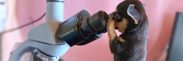 itaxiotira Profile Banner