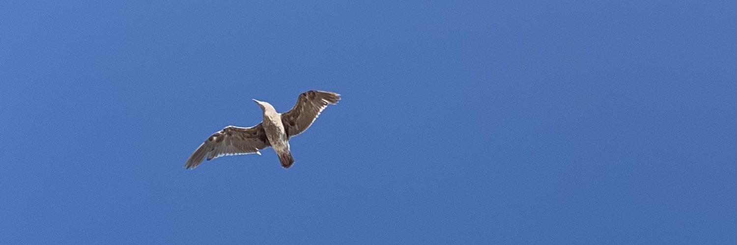 LEO｜APRO🚛ATTPs banner